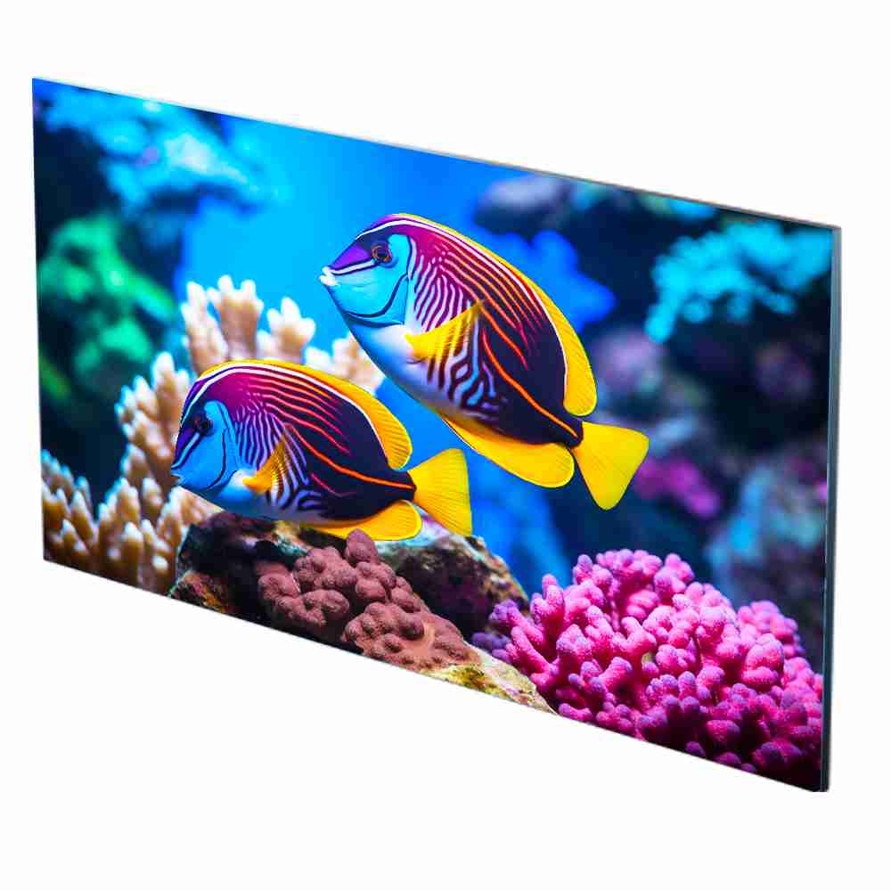 30mm Illuminova Wall Mounted LED Lightbox