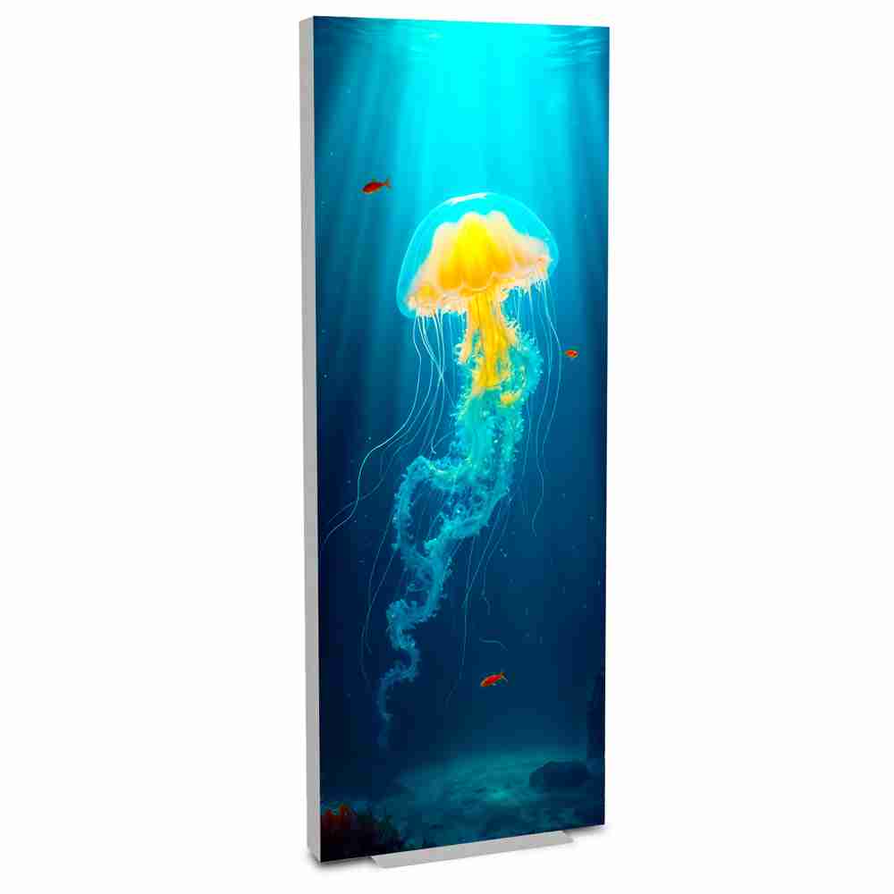 IllumiGO retail fabric led seg lightbox